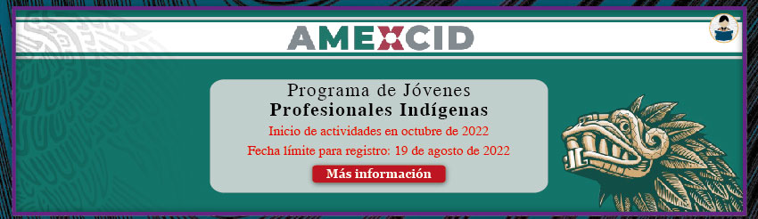 Programa de Jóvenes Profesionales Indígenas
